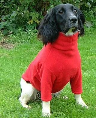 equafleece spaniel